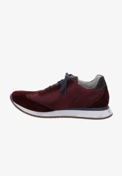 Josef Seibel ANTON 02, BORDO-KOMBI - Sneaker Low - Bordo-kombi